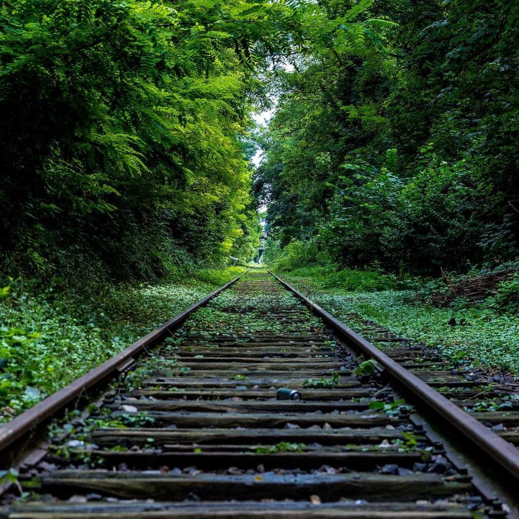 Data Sovereignty, Audit Logs, and Enterprise Governance in Modern All-In-One Enterprise Digital Growth